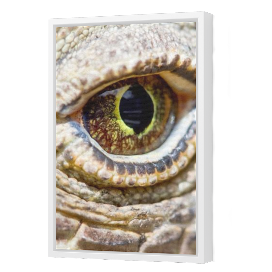 Thumbnail for Canvas - White Floating Frame