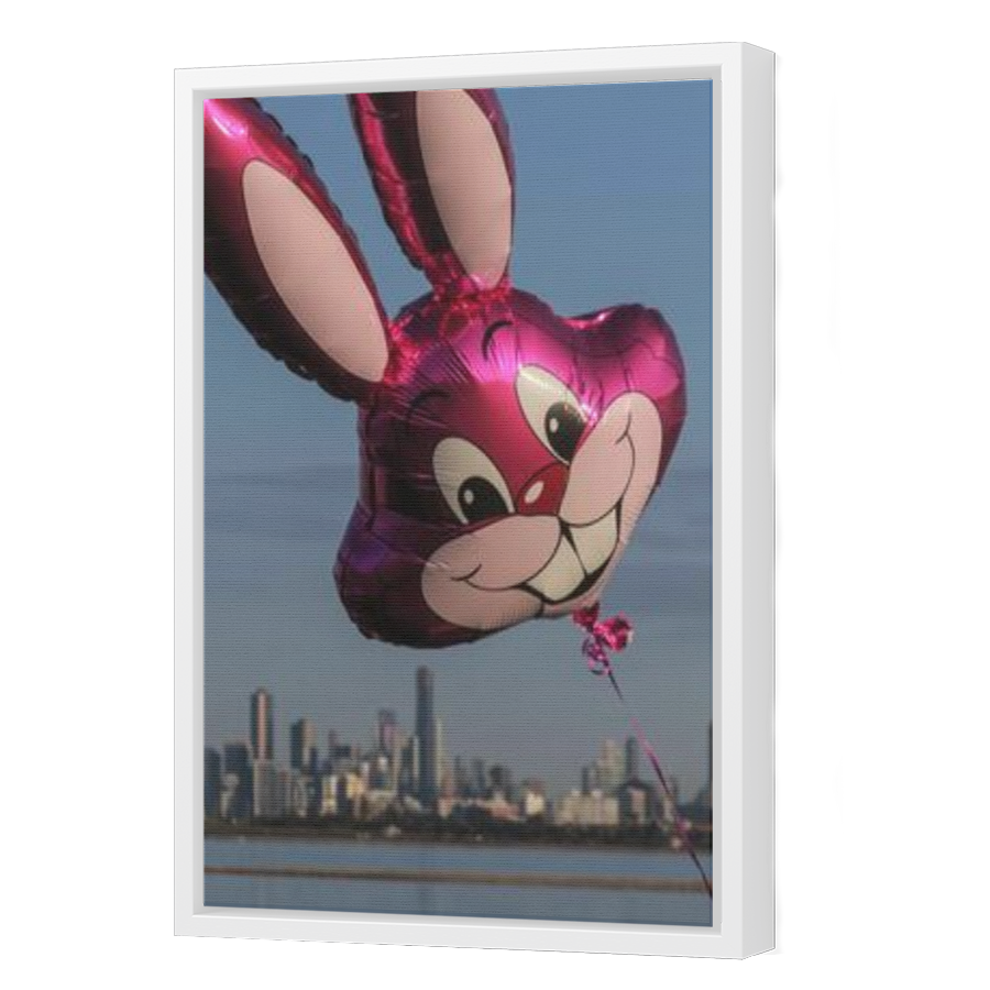 Thumbnail for Canvas - White Floating Frame
