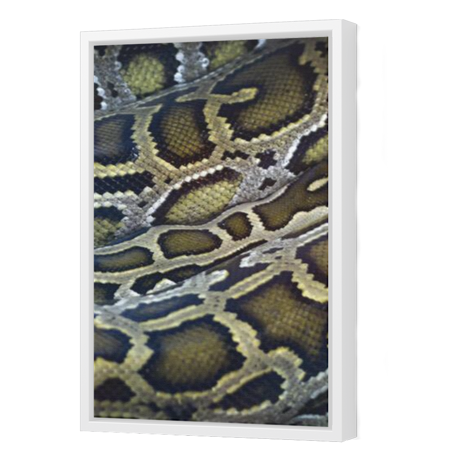 Thumbnail for Canvas - White Floating Frame