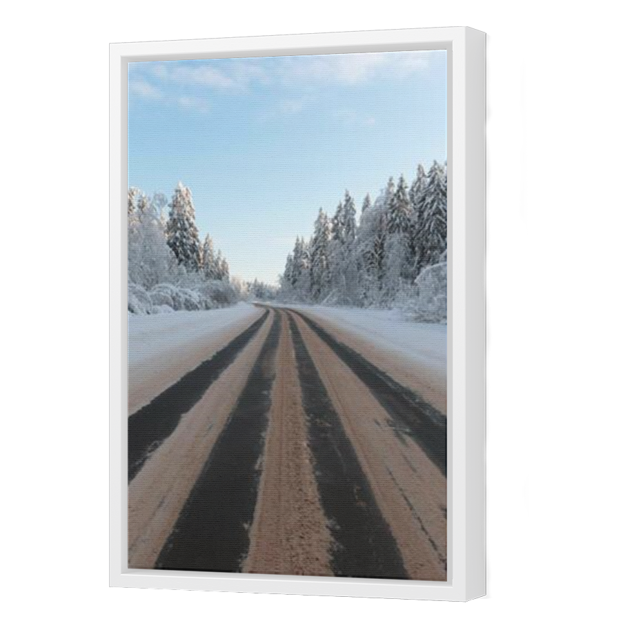 Thumbnail for Canvas - White Floating Frame