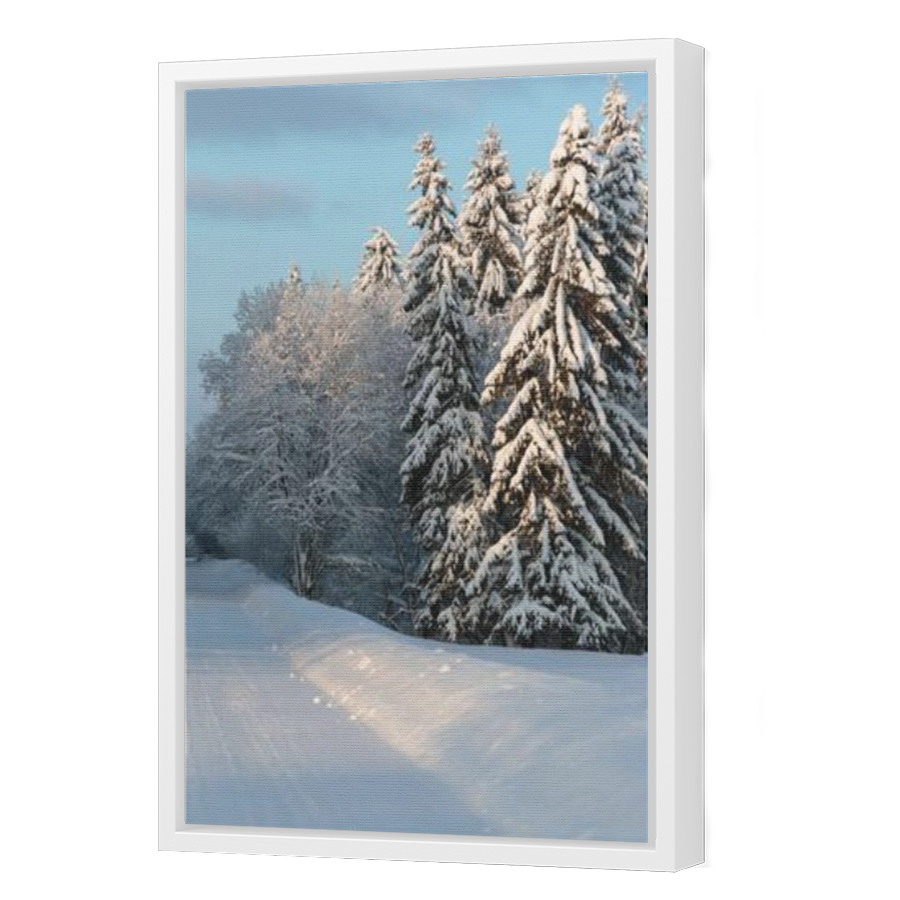 Thumbnail for Canvas - White Floating Frame