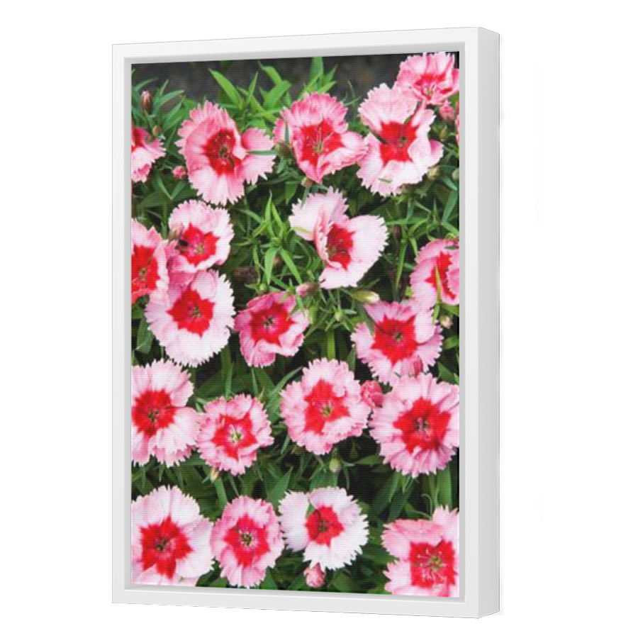 Thumbnail for Canvas - White Floating Frame