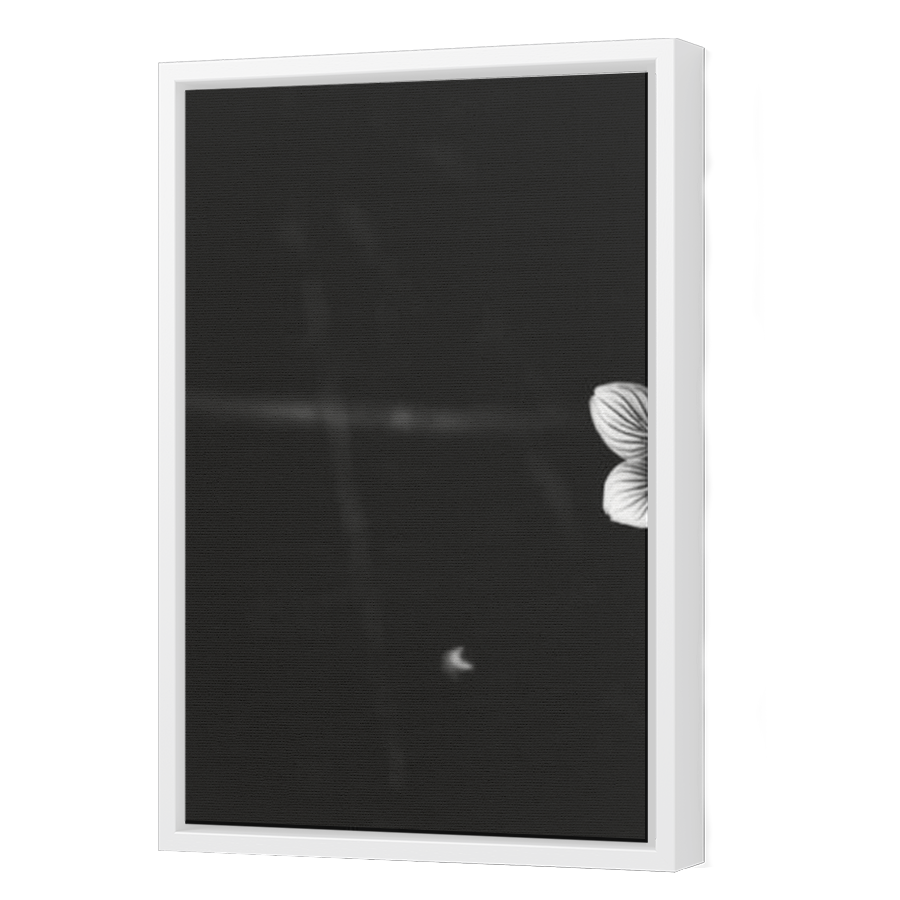 Thumbnail for Canvas - White Floating Frame