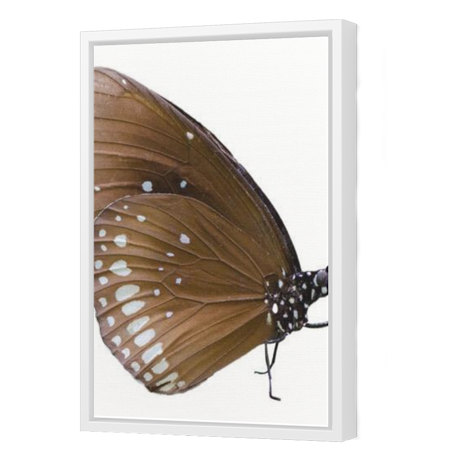 Thumbnail for Canvas - White Floating Frame