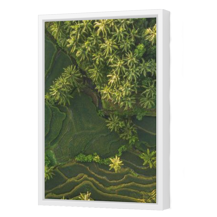 Thumbnail for Canvas - White Floating Frame