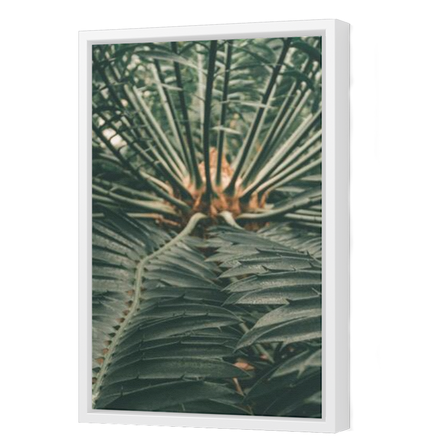 Thumbnail for Canvas - White Floating Frame