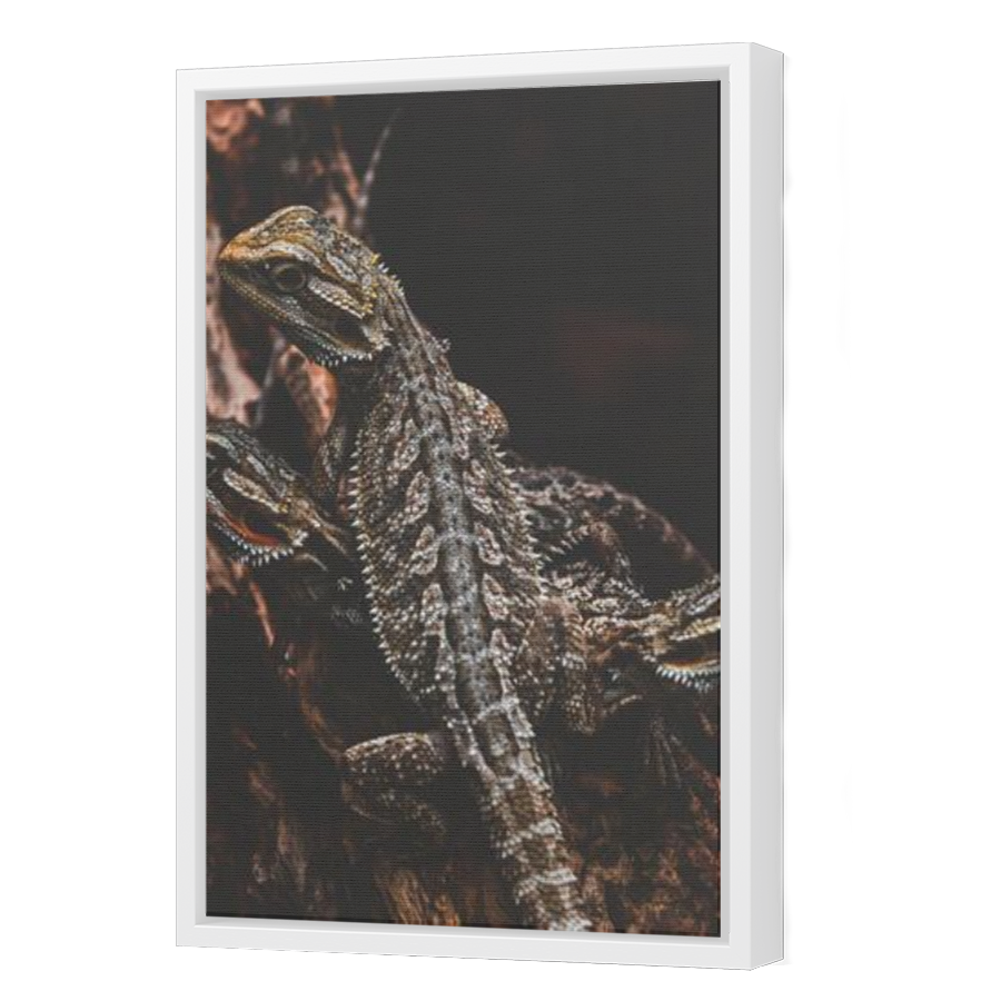 Thumbnail for Canvas - White Floating Frame