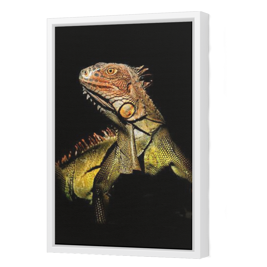 Thumbnail for Canvas - White Floating Frame