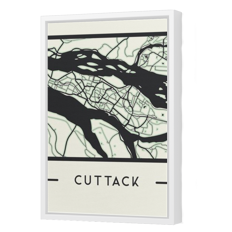 Thumbnail for Canvas - White Floating Frame