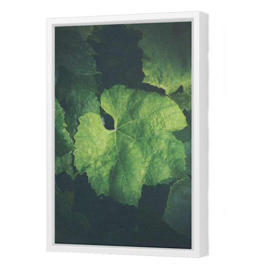 Thumbnail for Canvas - White Floating Frame