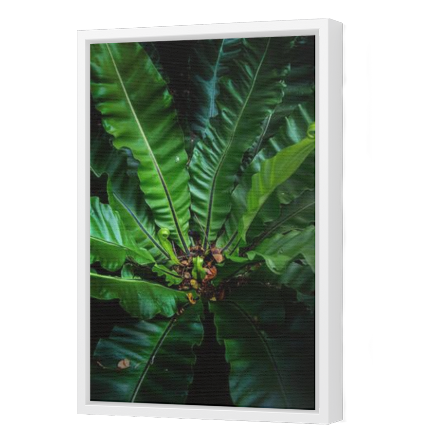 Thumbnail for Canvas - White Floating Frame