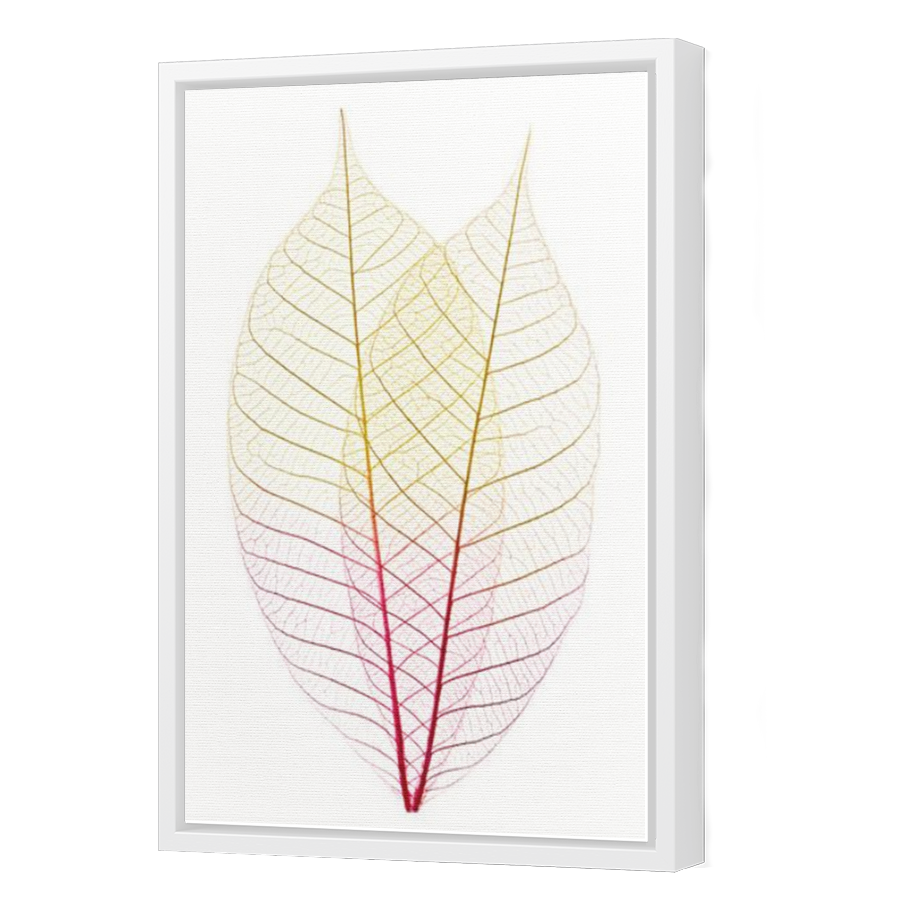 Thumbnail for Canvas - White Floating Frame