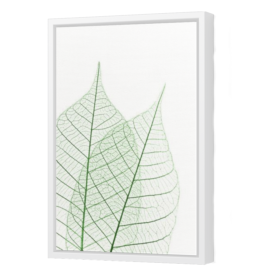 Thumbnail for Canvas - White Floating Frame