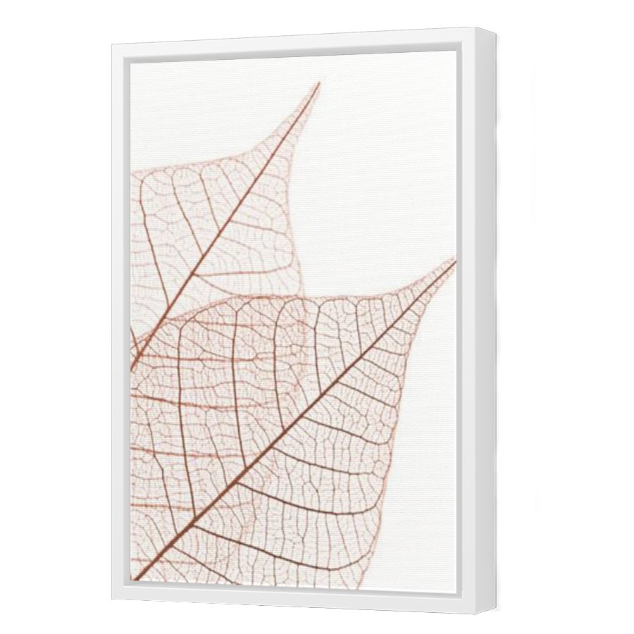 Thumbnail for Canvas - White Floating Frame