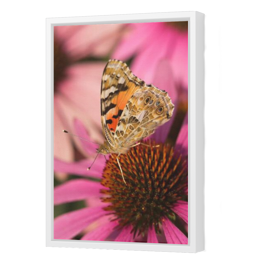 Thumbnail for Canvas - White Floating Frame