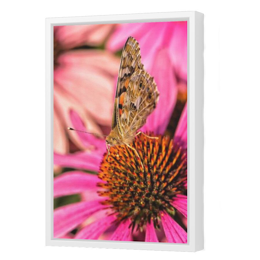 Thumbnail for Canvas - White Floating Frame