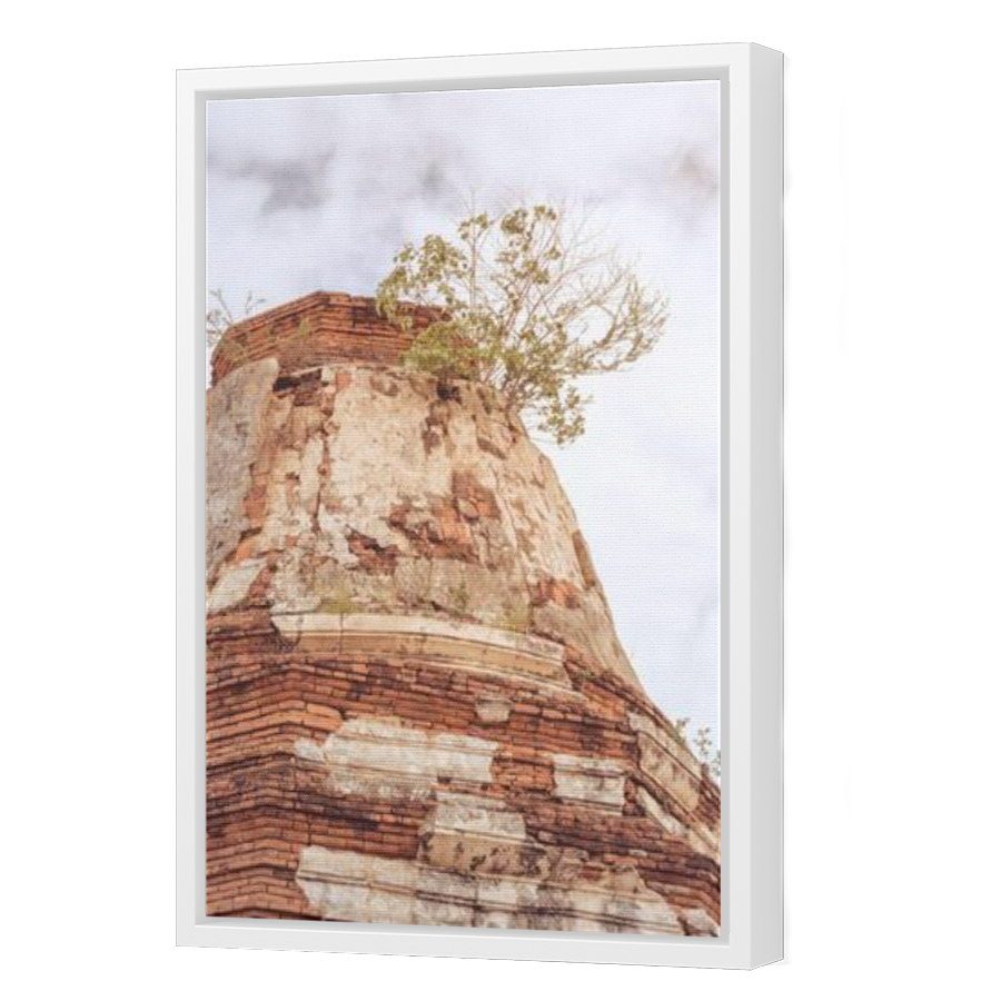Thumbnail for Canvas - White Floating Frame