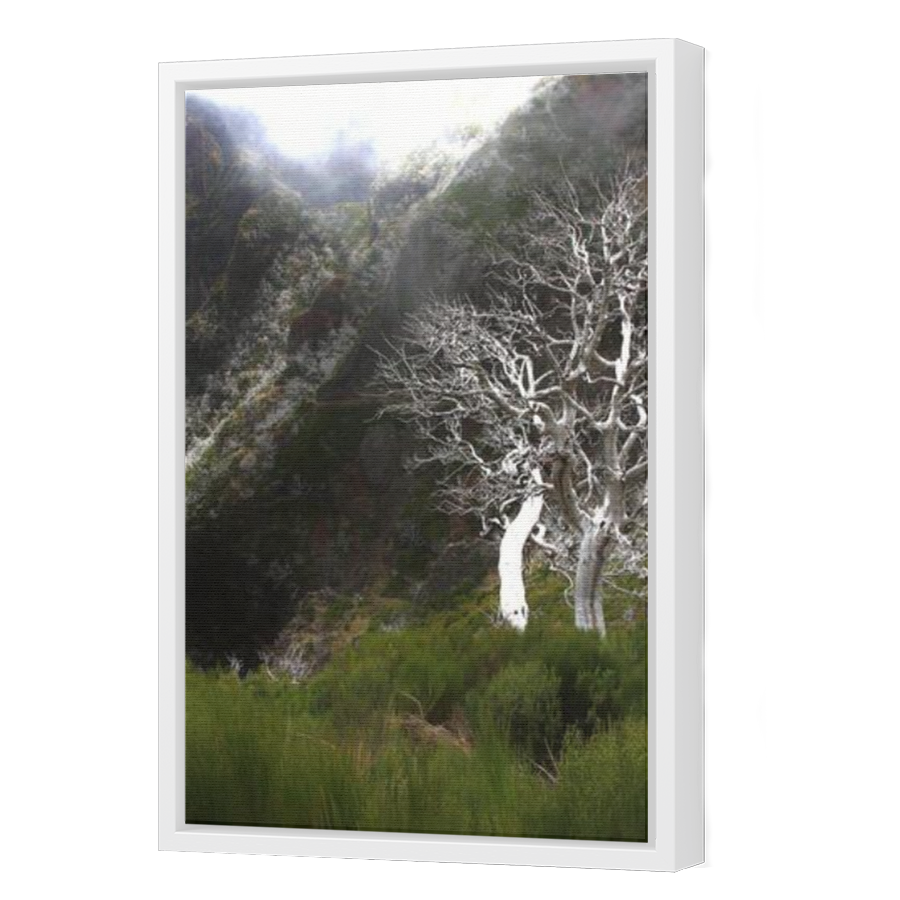 Thumbnail for Canvas - White Floating Frame