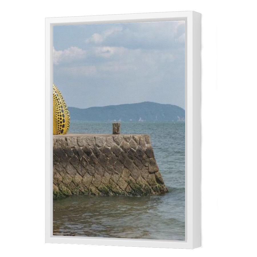 Thumbnail for Canvas - White Floating Frame