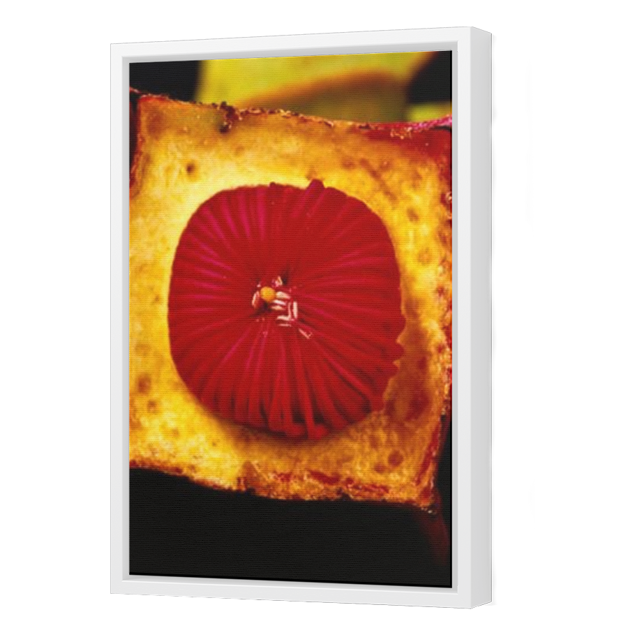 Thumbnail for Canvas - White Floating Frame