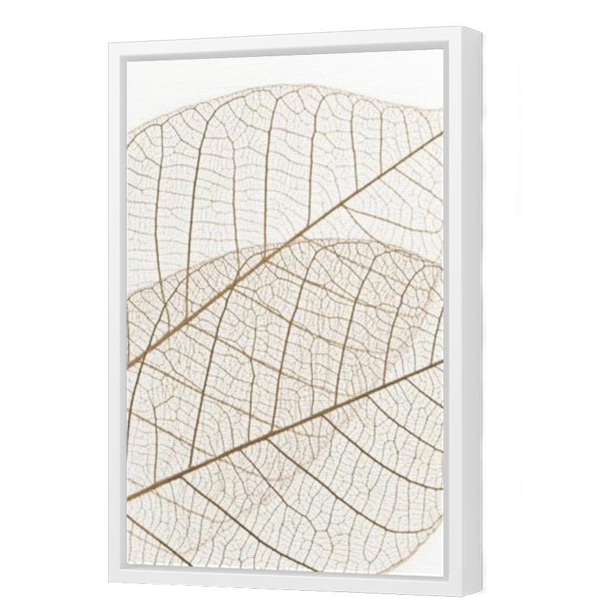 Thumbnail for Canvas - White Floating Frame