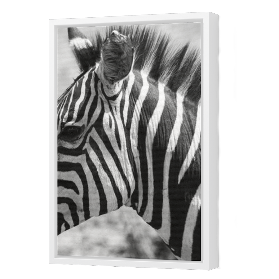 Thumbnail for Canvas - White Floating Frame