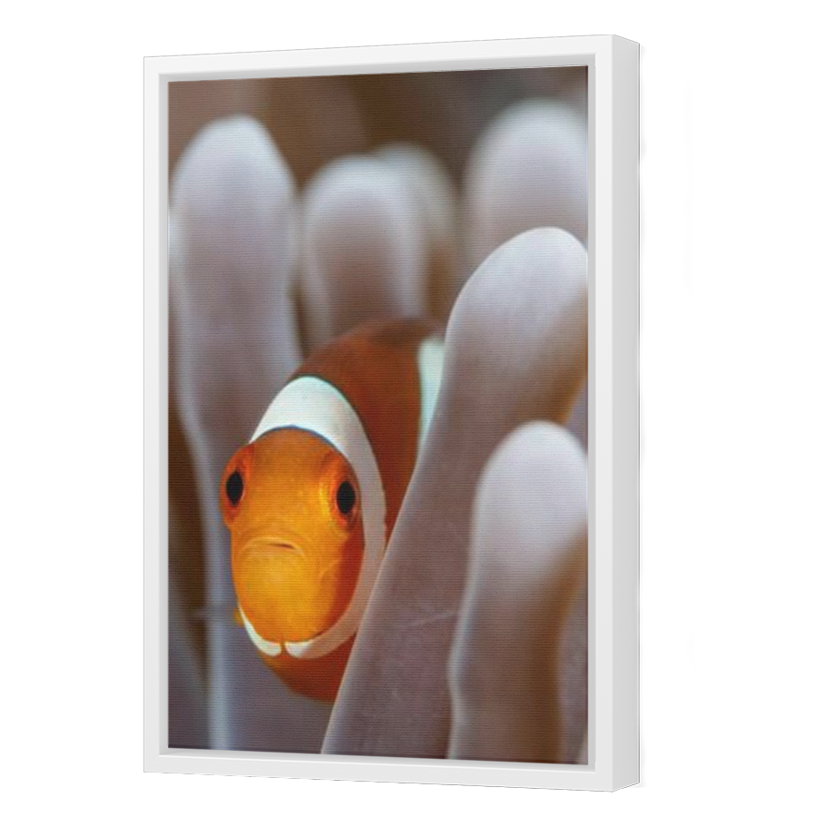 Thumbnail for Canvas - White Floating Frame