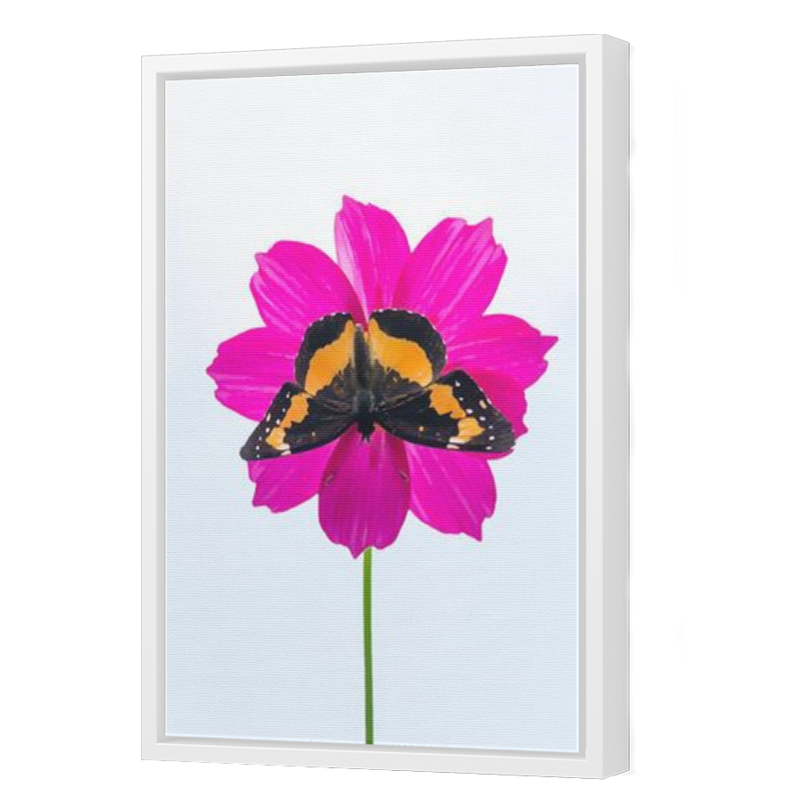 Thumbnail for Canvas - White Floating Frame