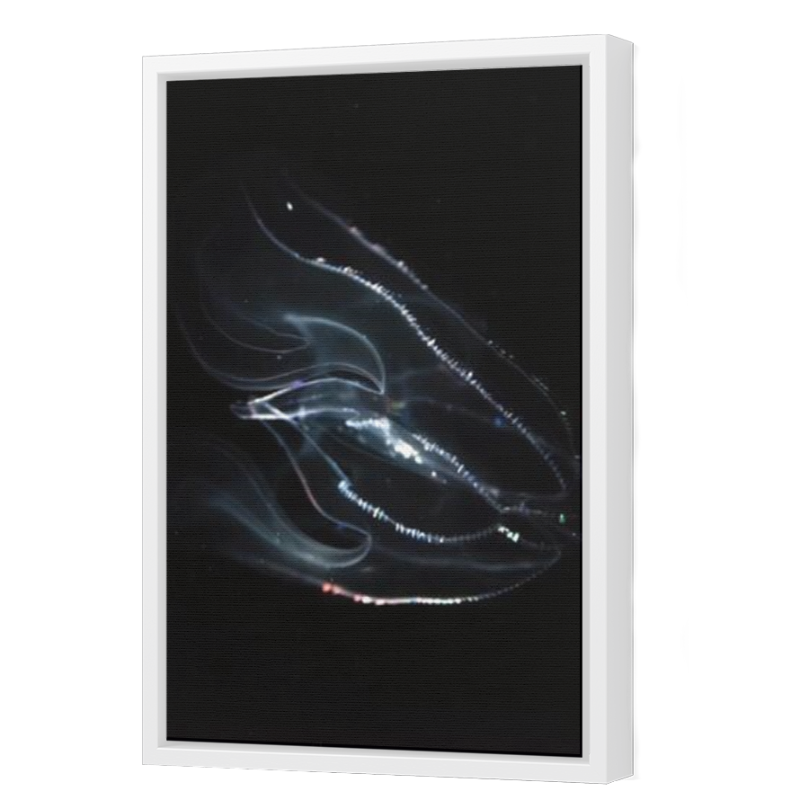 Thumbnail for Canvas - White Floating Frame