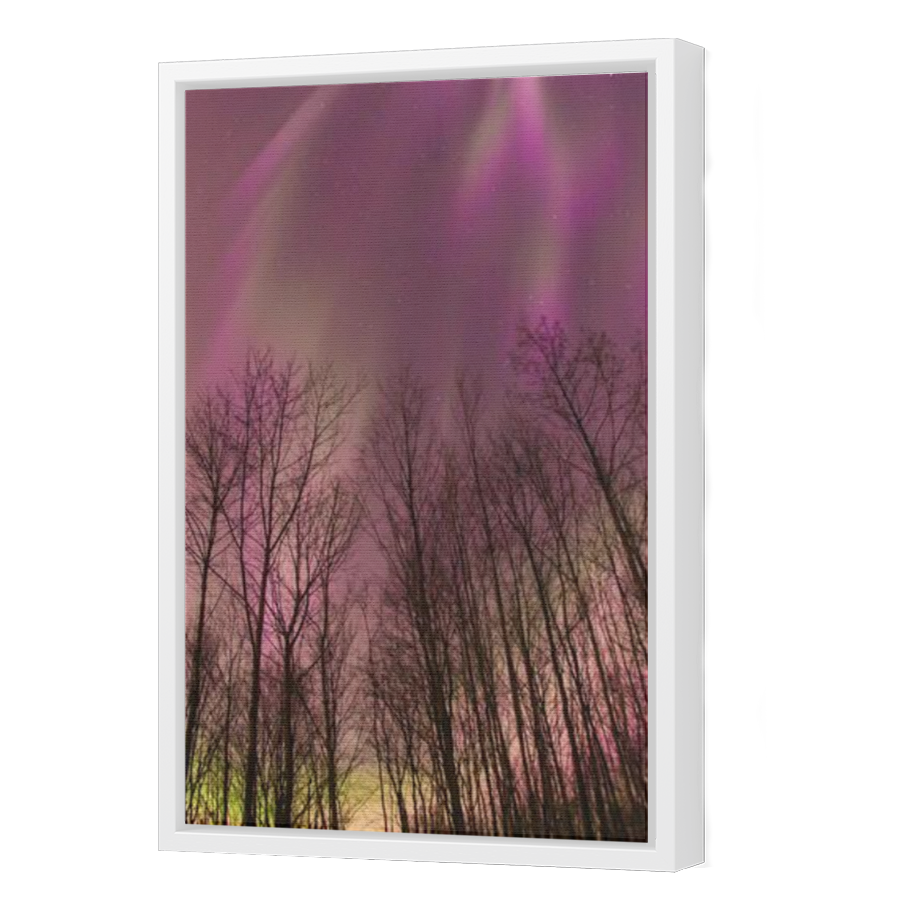 Thumbnail for Canvas - White Floating Frame