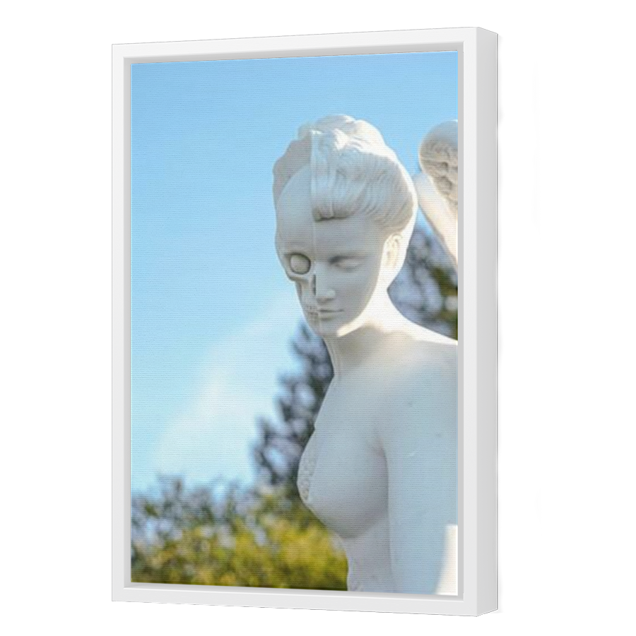 Thumbnail for Canvas - White Floating Frame