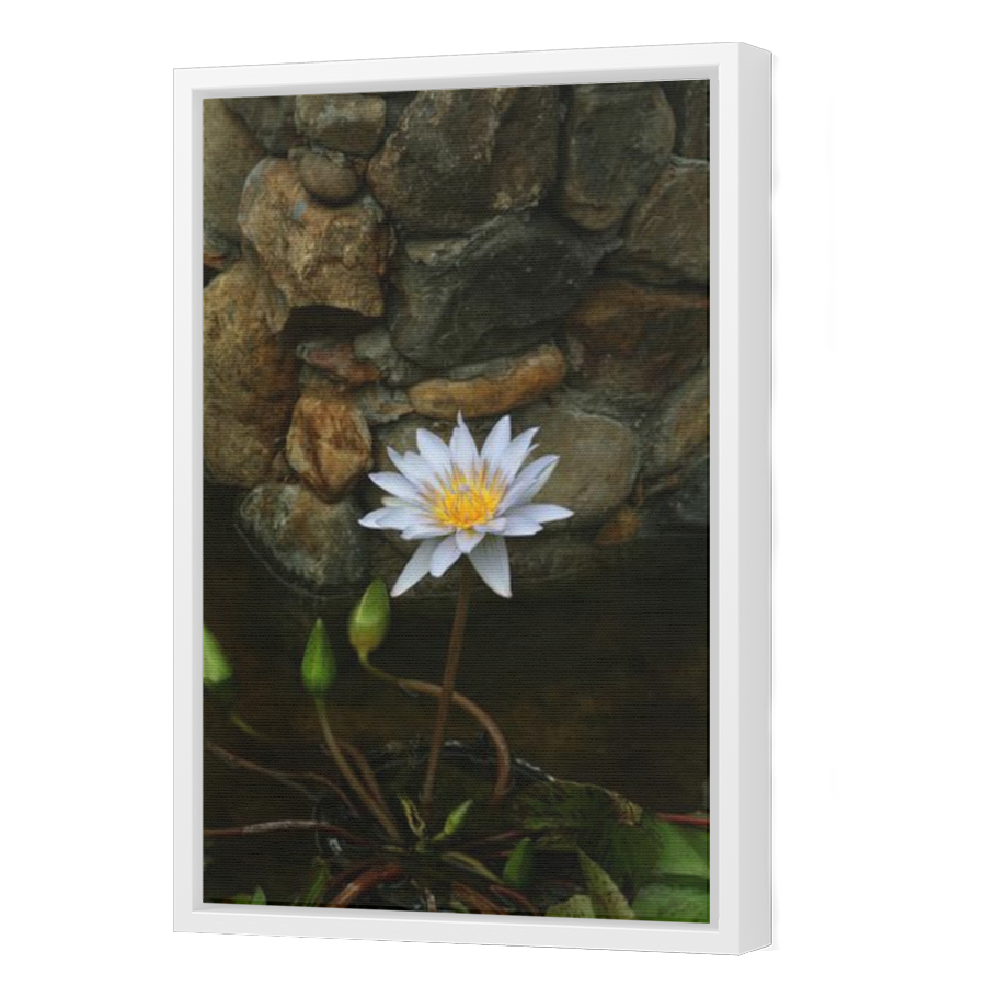 Thumbnail for Canvas - White Floating Frame