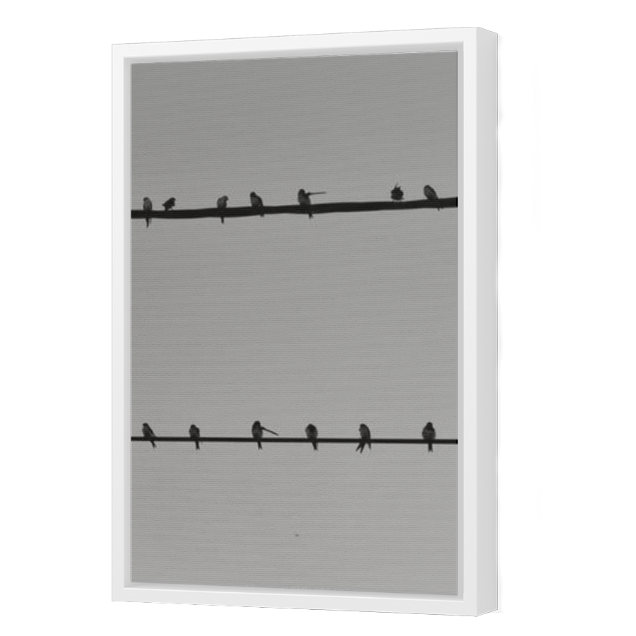 Thumbnail for Canvas - White Floating Frame