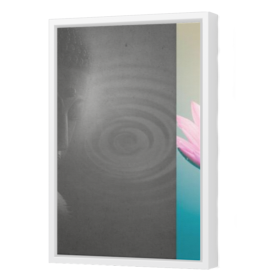 Thumbnail for Canvas - White Floating Frame