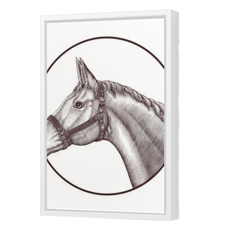 Thumbnail for Canvas - White Floating Frame