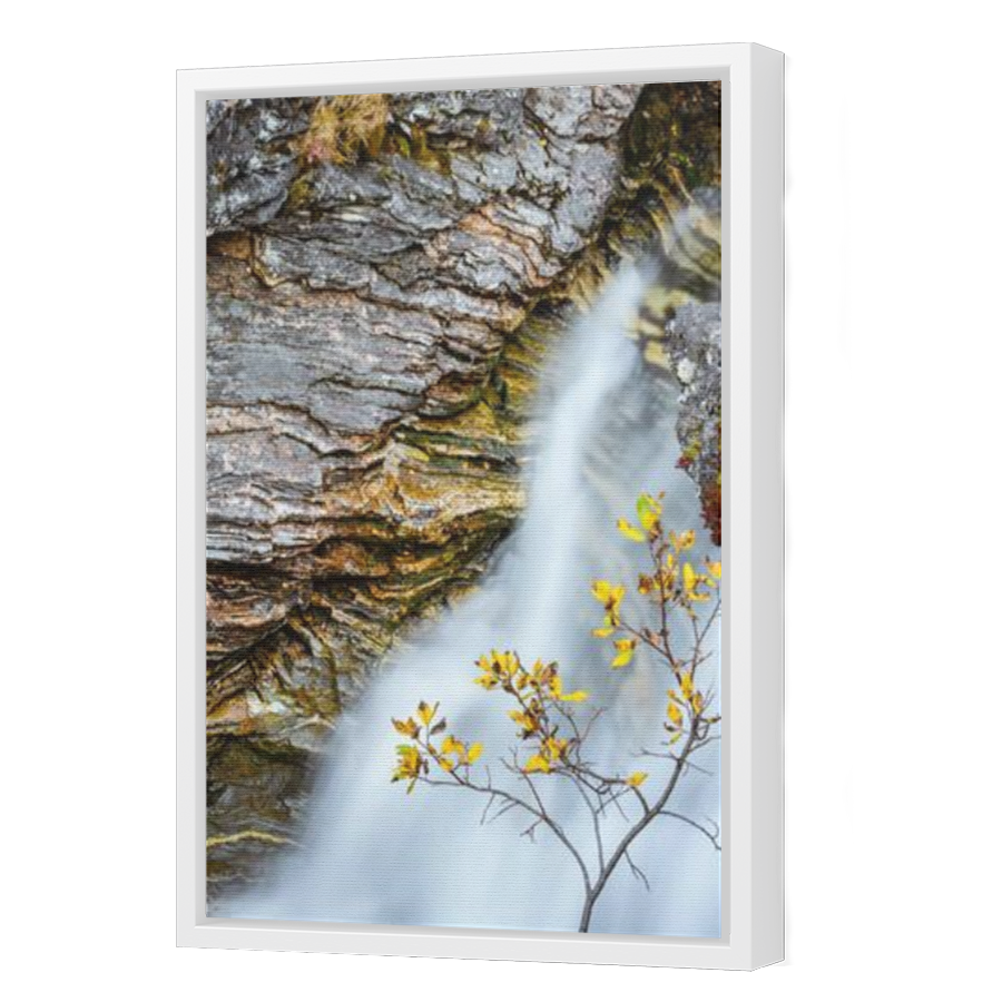Thumbnail for Canvas - White Floating Frame