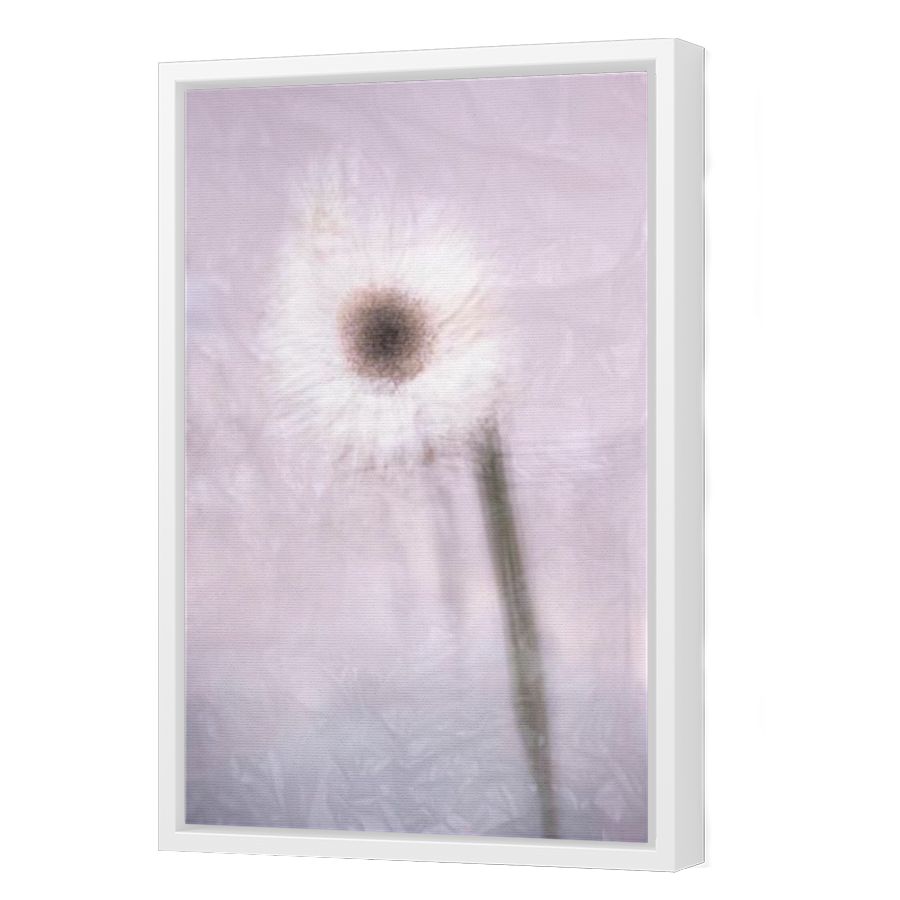 Thumbnail for Canvas - White Floating Frame