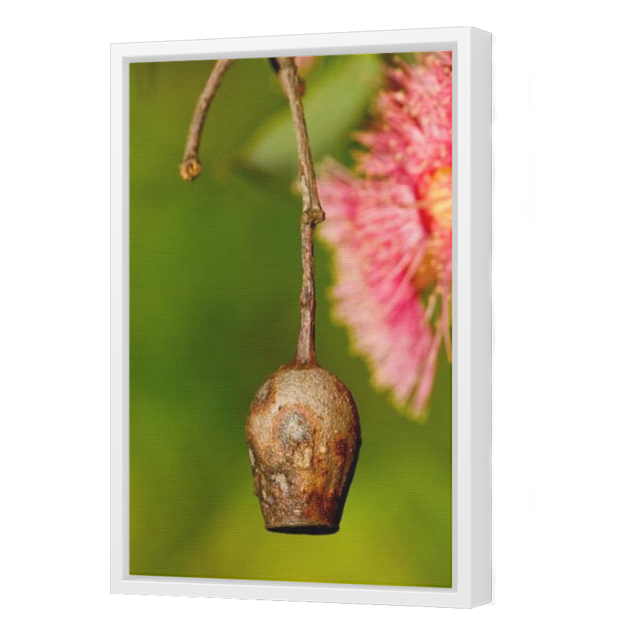 Thumbnail for Canvas - White Floating Frame