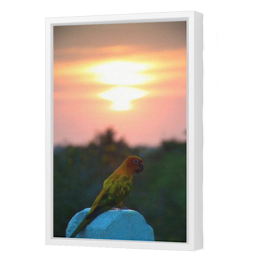 Thumbnail for Canvas - White Floating Frame