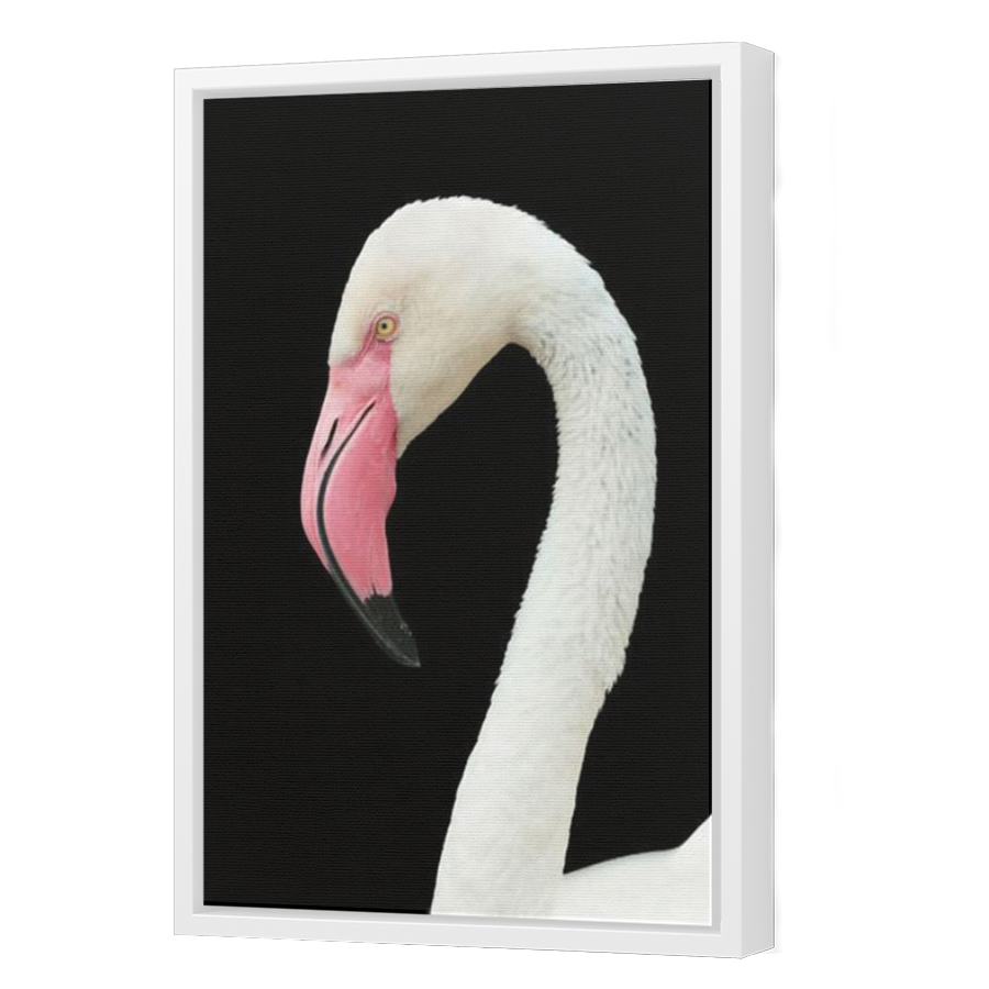 Thumbnail for Canvas - White Floating Frame