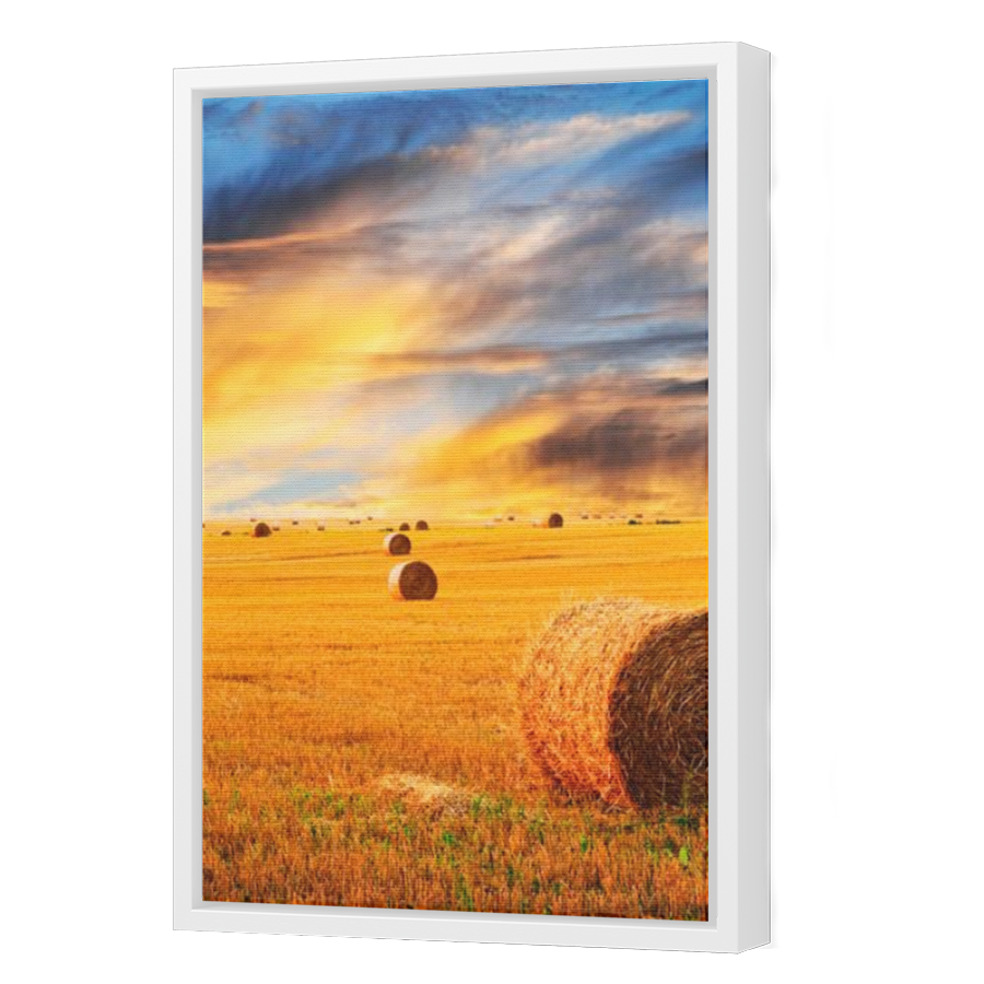 Thumbnail for Canvas - White Floating Frame