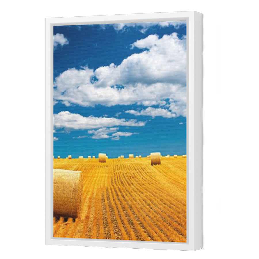 Thumbnail for Canvas - White Floating Frame