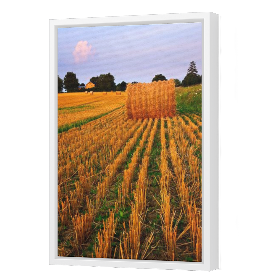 Thumbnail for Canvas - White Floating Frame