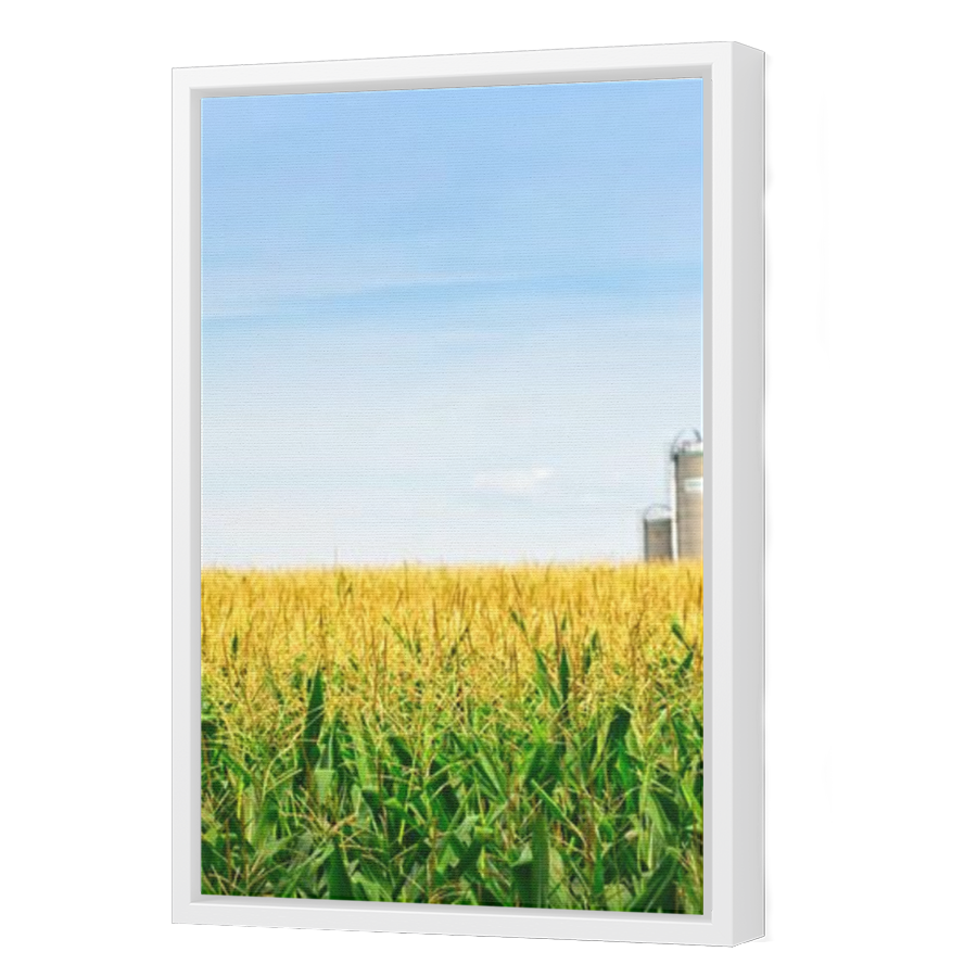 Thumbnail for Canvas - White Floating Frame