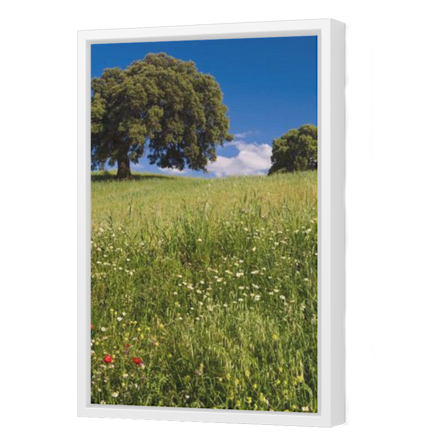 Thumbnail for Canvas - White Floating Frame