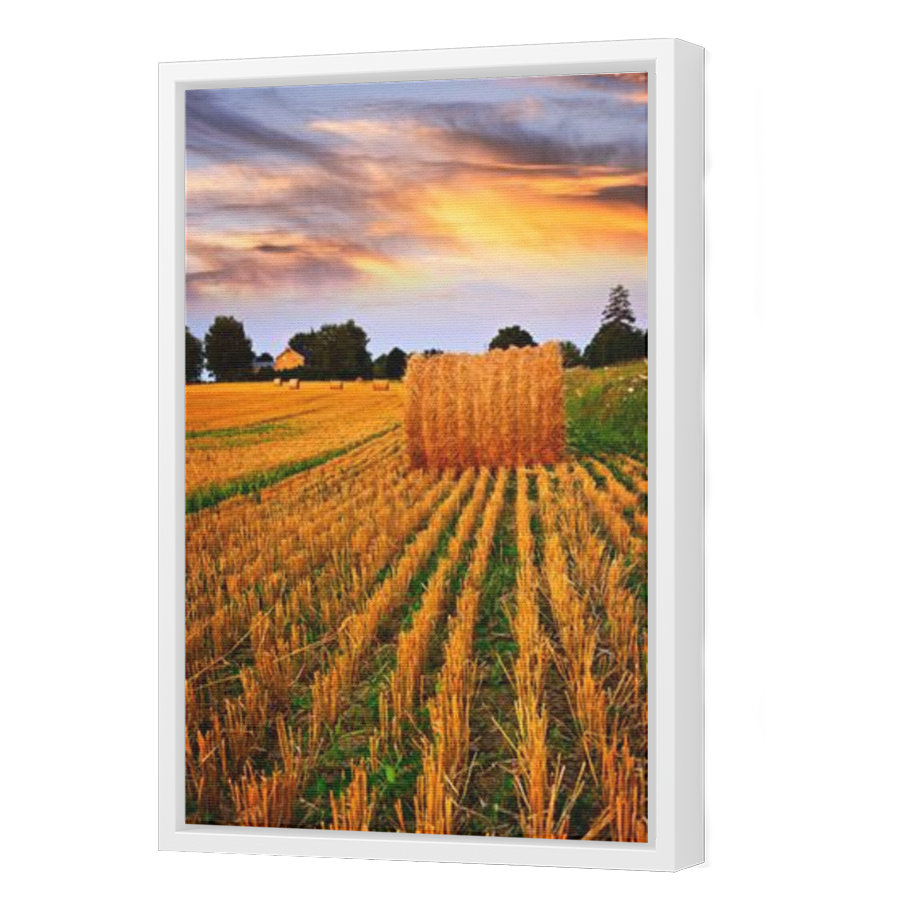 Thumbnail for Canvas - White Floating Frame