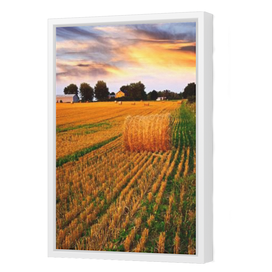 Thumbnail for Canvas - White Floating Frame