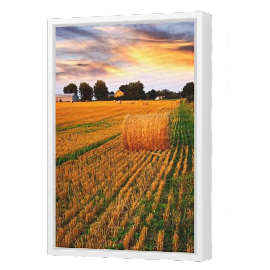 Thumbnail for Canvas - White Floating Frame