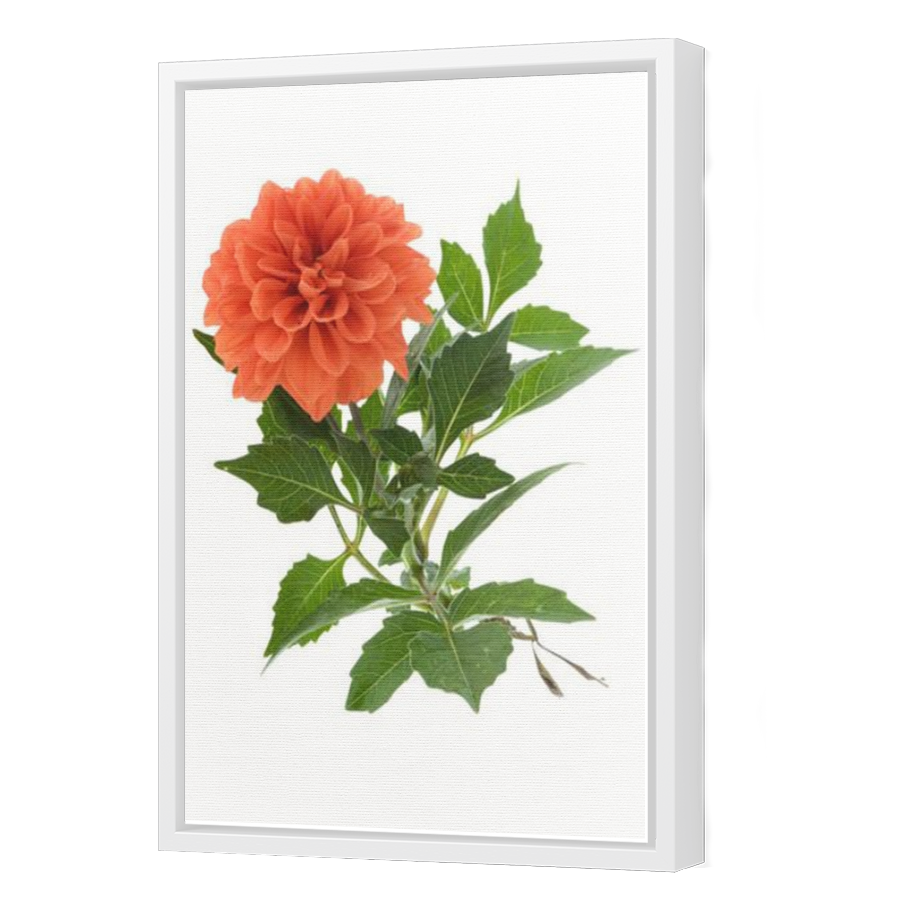 Thumbnail for Canvas - White Floating Frame