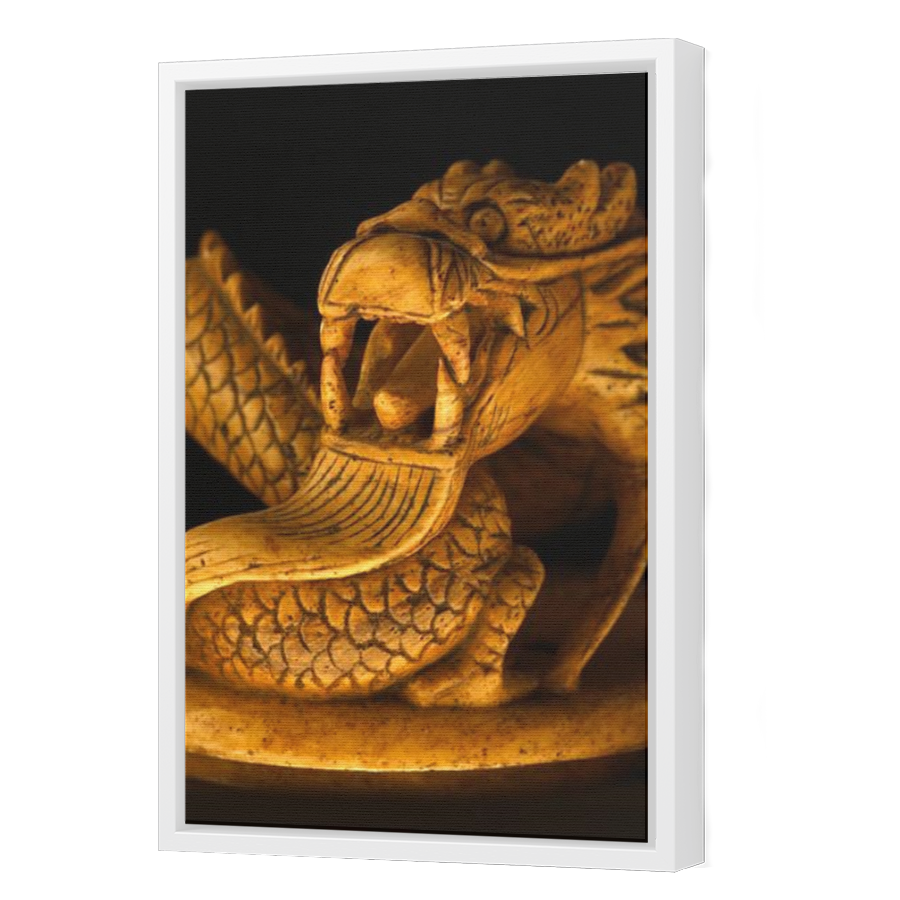 Thumbnail for Canvas - White Floating Frame